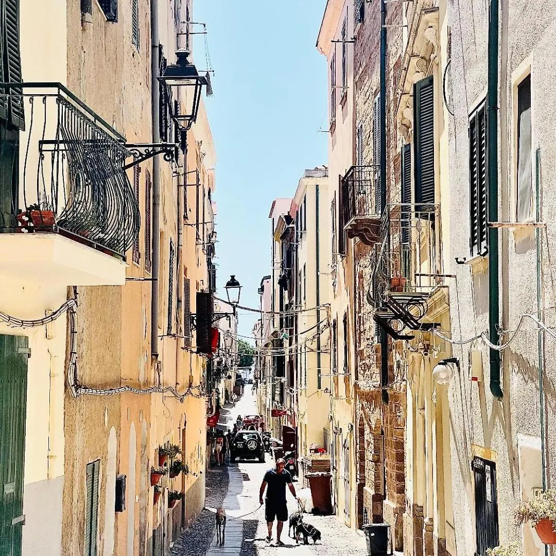 Miro Art Room Αλγκέρο 0*,